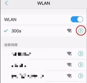 手机DNS修改教程